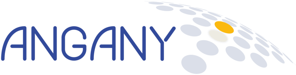 logo angany 2020